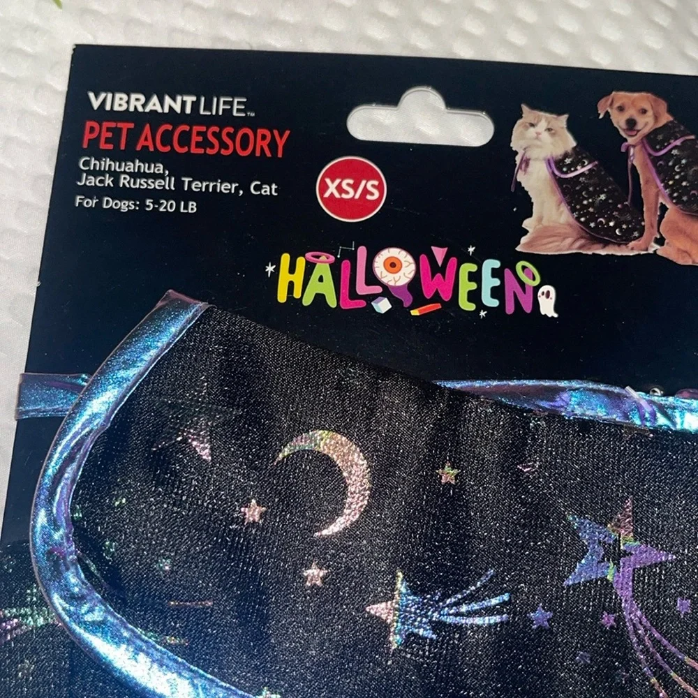 Vibrant Halloween Pet Accessory - Black with Purple and Blue Accents